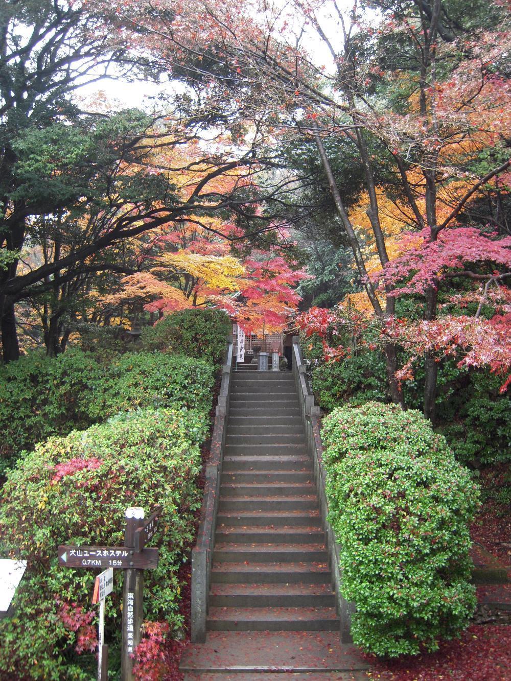 a!Heart supercar 022.jpg